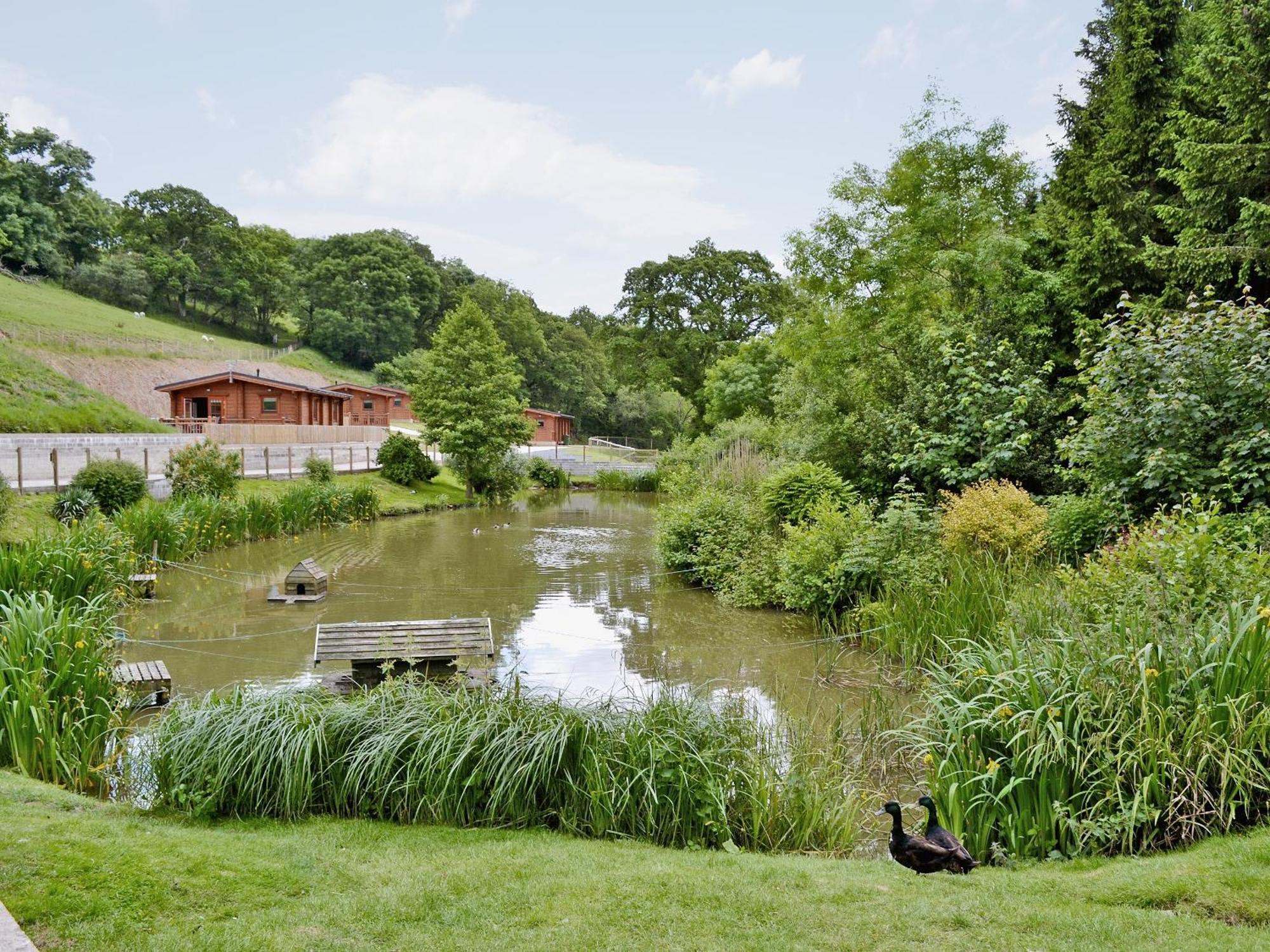 Cherrytree Cottage - 29937 Holcombe Burnell ภายนอก รูปภาพ